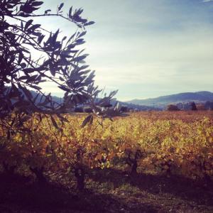 11039543_10153160314483307_1037610971_n