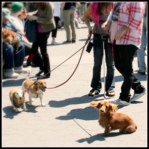 12001839_10153895925785101_1830503364_o